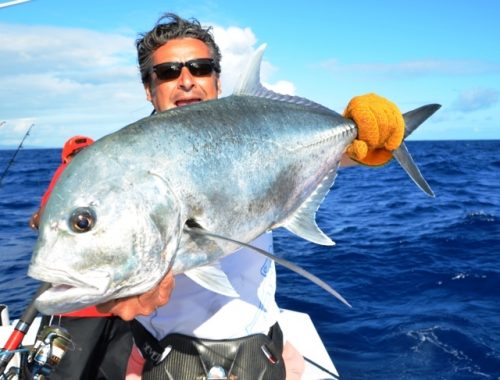 carangue ignobilis relâchée - Rod Fishing Club - Ile Rodrigues - Maurice - Océan Indien