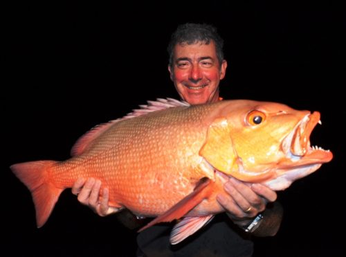 carpe rouge - Rod Fishing Club - Ile Rodrigues - Maurice - Océan Indien