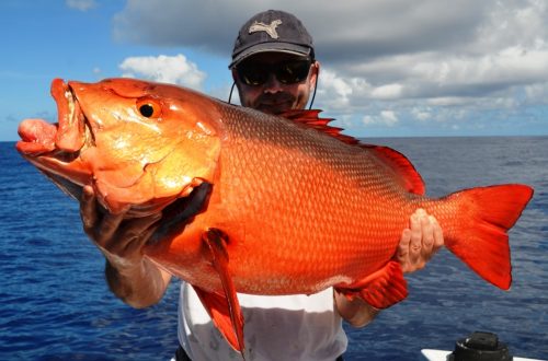 carpe rouge - Rod Fishing Club - Ile Rodrigues - Maurice - Océan Indien