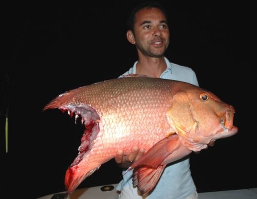 voilier - Rod Fishing Club - Ile Rodrigues - Maurice - Océan Indien