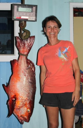 carpe rouge nouveau record - Rod Fishing Club - Ile Rodrigues - Maurice - Océan Indien