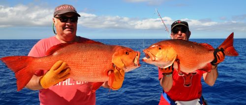 carpes rouges - Rod Fishing Club - Ile Rodrigues - Maurice - Océan Indien