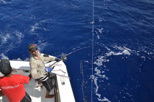 c'est parti le marlin noir vient d'avaler le vif - Rod Fishing Club - Ile Rodrigues - Maurice - Océan Indien