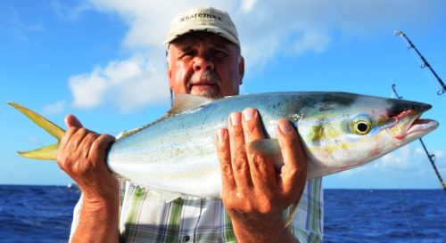 coureur arc en ciel - Rod Fishing Club - Ile Rodrigues - Maurice - Océan Indien