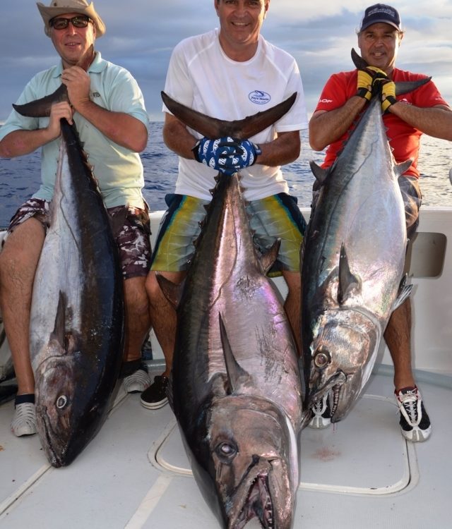 doggies de 63- 48 et 34 kg pris en pêche à l'appât - Rod Fishing Club - Ile Rodrigues - Maurice - Océan Indien