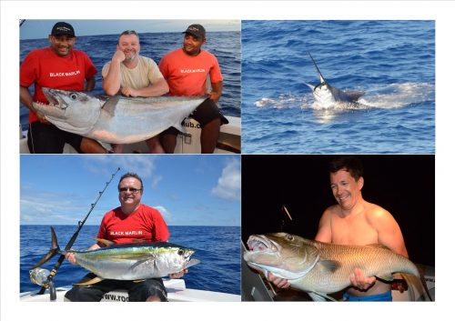 doggy, thon jaune, marlin et poisson poulet - Rod Fishing Club - Ile Rodrigues - Maurice - Océan Indien