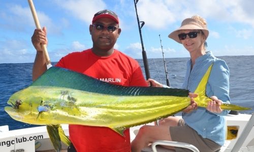 dorade coryphène pour Diana - Rod Fishing Club - Ile Rodrigues - Maurice - Océan Indien
