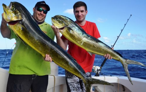 dorades coryphènes - Rod Fishing Club - Ile Rodrigues - Maurice - Océan Indien