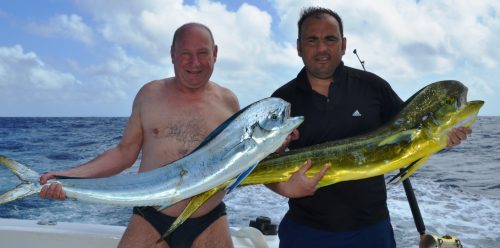 doublé de dorades coryphènes - Rod Fishing Club - Ile Rodrigues - Maurice - Océan Indien