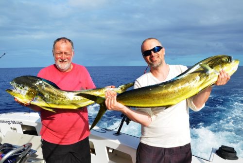 doublé de dorades coryphènes - Rod Fishing Club - Ile Rodrigues - Maurice - Océan Indien