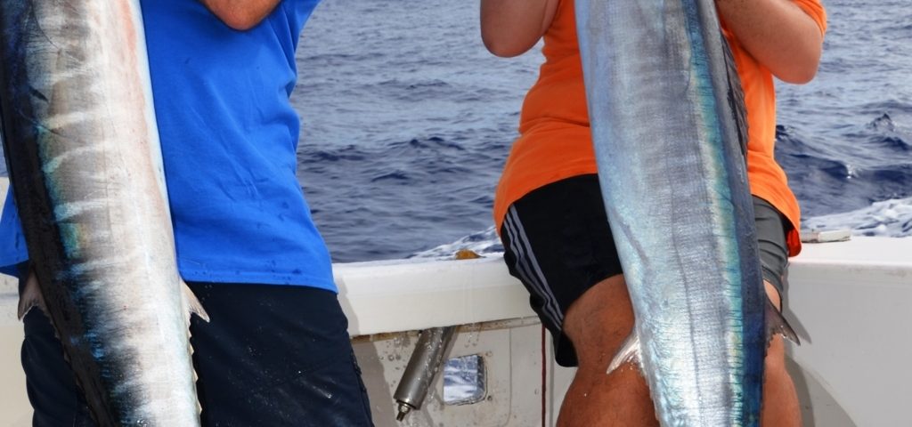 doublé de wahoos - Rod Fishing Club - Ile Rodrigues - Maurice - Océan Indien