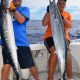 doublé de wahoos - Rod Fishing Club - Ile Rodrigues - Maurice - Océan Indien