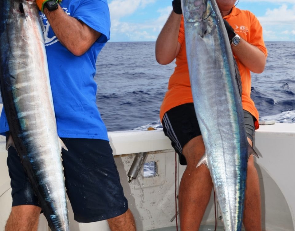 doublé de wahoos - Rod Fishing Club - Ile Rodrigues - Maurice - Océan Indien