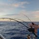 jigging session - Rod Fishing Club - Ile Rodrigues - Maurice - Océan Indien.