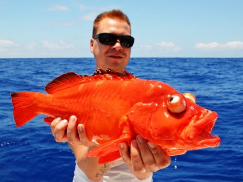 mama rouge - Rod Fishing Club - Ile Rodrigues - Maurice - Océan Indien