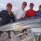 marlin - Rod Fishing Club - Ile Rodrigues - Maurice - Océan Indien