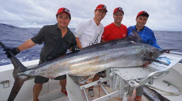 marlin - Rod Fishing Club - Ile Rodrigues - Maurice - Océan Indien