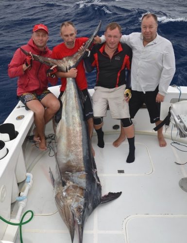 marlin bleu - Rod Fishing Club - Ile Rodrigues - Maurice - Océan Indien