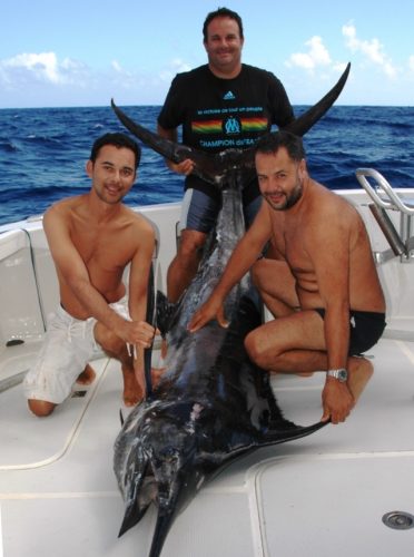 marlin bleu - Rod Fishing Club - Ile Rodrigues - Maurice - Océan Indien