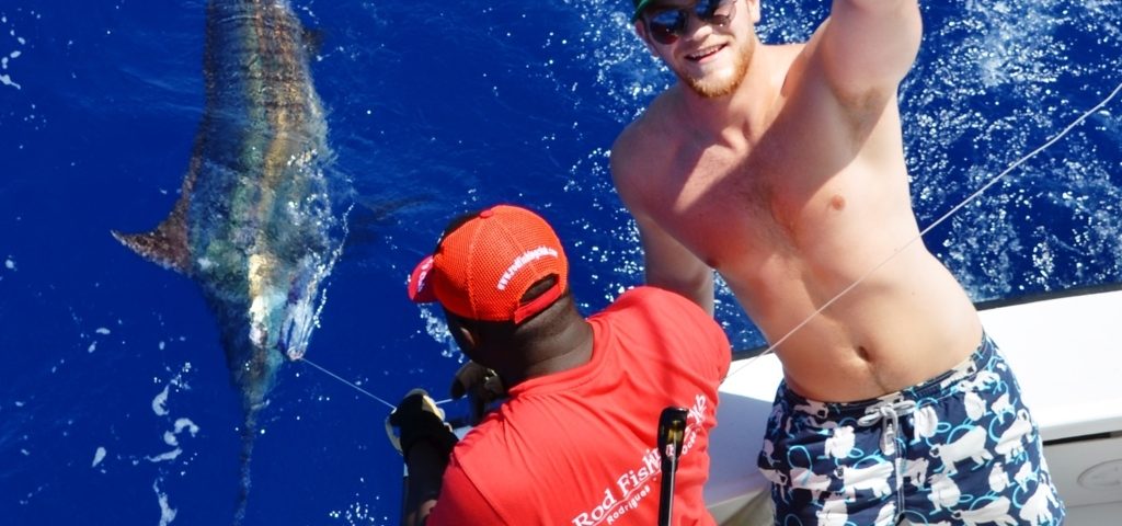 marlin bleu relâché - Rod Fishing Club - Ile Rodrigues - Maurice - Océan Indien