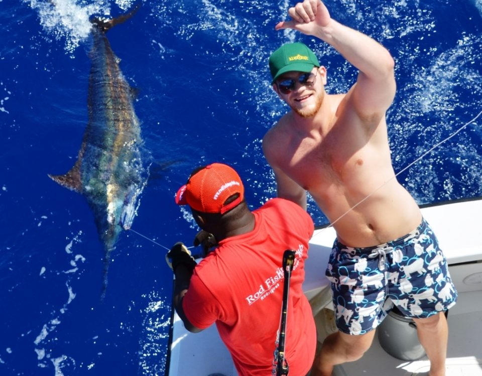 marlin bleu relâché - Rod Fishing Club - Ile Rodrigues - Maurice - Océan Indien