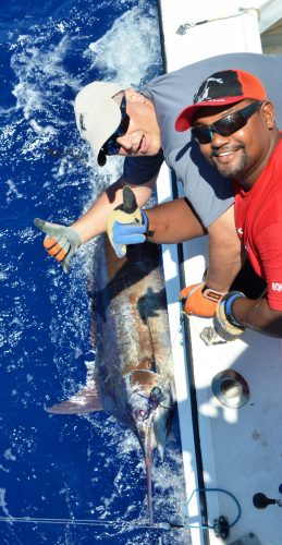 marlin bleu relâché - Rod Fishing Club - Ile Rodrigues - Maurice - Océan Indien