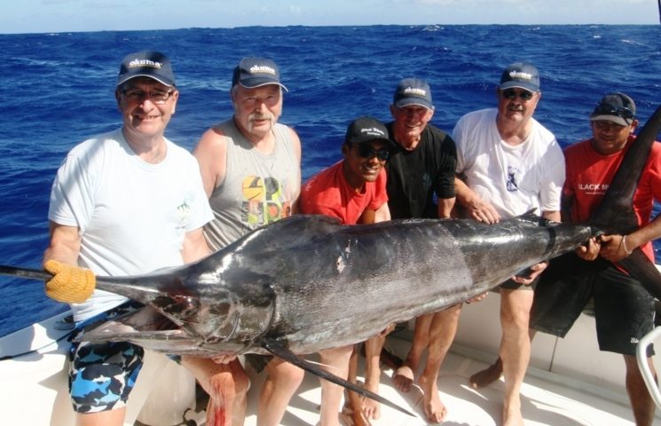 marlin noir de 140kg - Rod Fishing Club - Ile Rodrigues - Maurice - Océan Indien