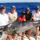 marlin noir de 140kg - Rod Fishing Club - Ile Rodrigues - Maurice - Océan Indien
