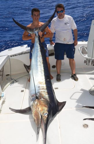 marlin noir de 160kg - Rod Fishing Club - Ile Rodrigues - Maurice - Océan Indien