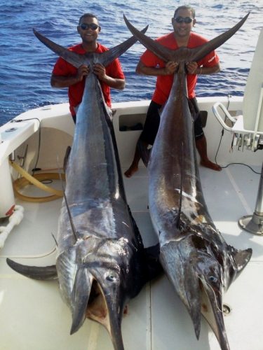 marlins - Rod Fishing Club - Ile Rodrigues - Maurice - Océan Indien