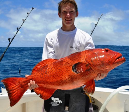 mérou babone - Rod Fishing Club - Ile Rodrigues - Maurice - Océan Indien