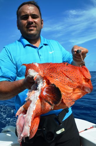 mérou babone - Rod Fishing Club - Ile Rodrigues - Maurice - Océan Indien