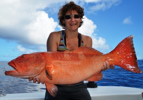 mérou babone - Rod Fishing Club - Ile Rodrigues - Maurice - Océan Indien