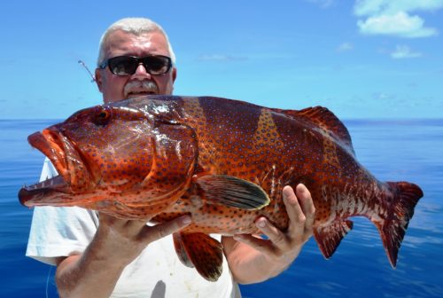 mérou babone - Rod Fishing Club - Ile Rodrigues - Maurice - Océan Indien