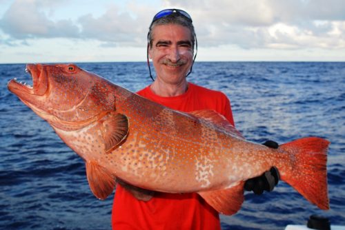 mérou babone - Rod Fishing Club - Ile Rodrigues - Maurice - Océan Indien