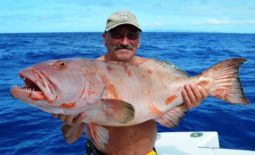 mérou babone - Rod Fishing Club - Ile Rodrigues - Maurice - Océan Indien