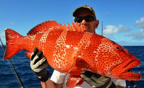 mérou babone - Rod Fishing Club - Ile Rodrigues - Maurice - Océan Indien