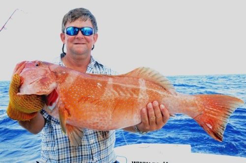 mérou babone - Rod Fishing Club - Ile Rodrigues - Maurice - Océan Indien