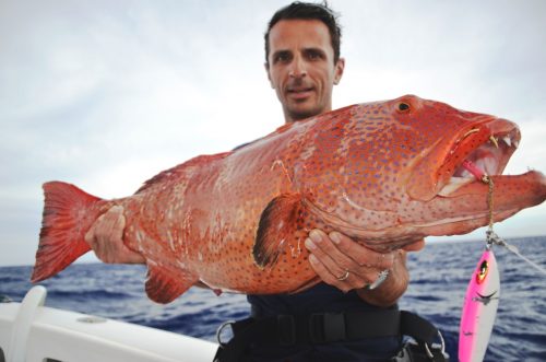 mérou babone en jigging - Rod Fishing Club - Ile Rodrigues - Maurice - Océan Indien