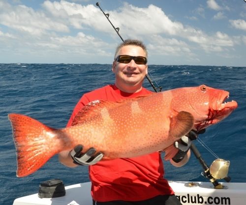 mérou babone prise au jig - Rod Fishing Club - Ile Rodrigues - Maurice - Océan Indien