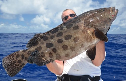 mérou léopard en jigging par Bruno - Rod Fishing Club - Ile Rodrigues - Maurice - Océan Indien