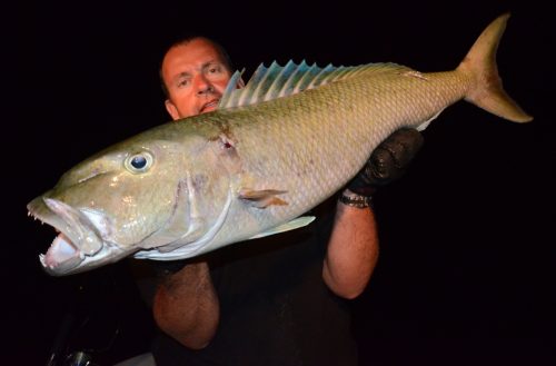 poisson poulet - Rod Fishing Club - Ile Rodrigues - Maurice - Océan Indien