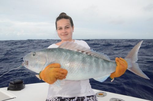 poisson poulet - Rod Fishing Club - Ile Rodrigues - Maurice - Océan Indien