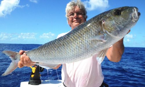 poisson poulet par Maurice- Rod Fishing Club - Ile Rodrigues - Maurice - Océan Indien