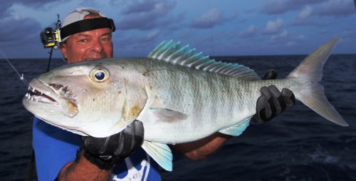 poisson poulet pris au jig - Rod Fishing Club - Ile Rodrigues - Maurice - Océan Indien