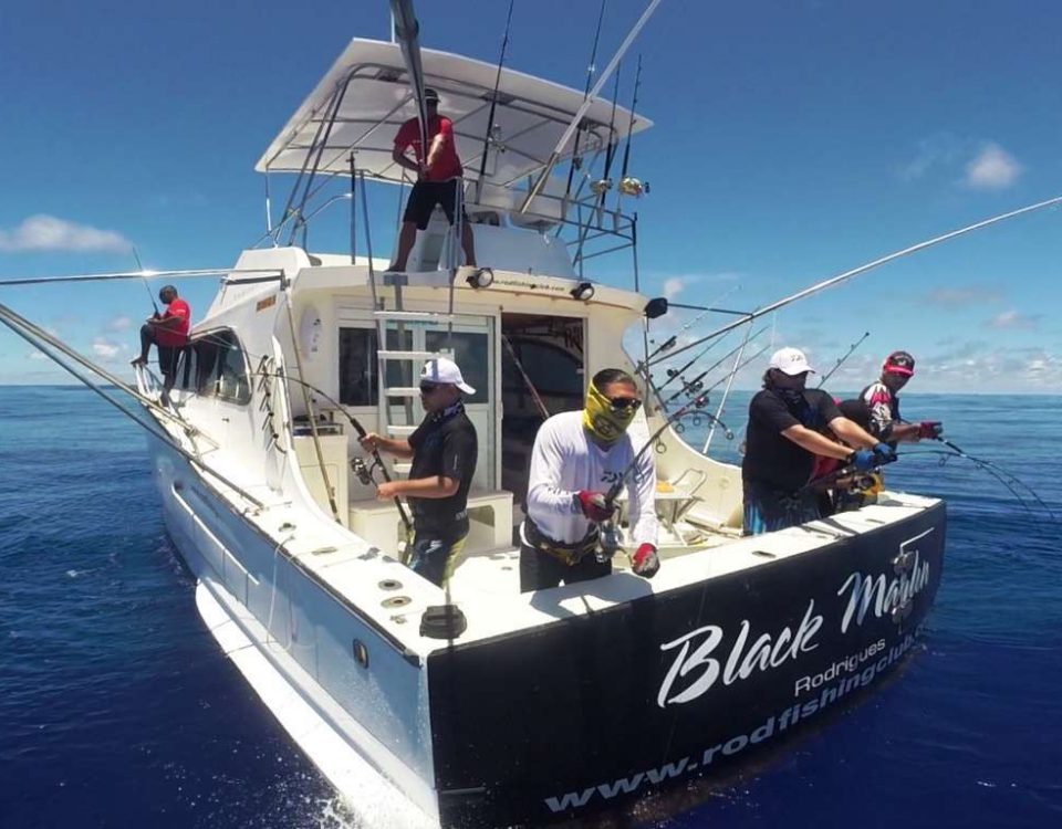 quadruplé en jigging - Rod Fishing Club - Ile Rodrigues - Maurice - Océan Indien