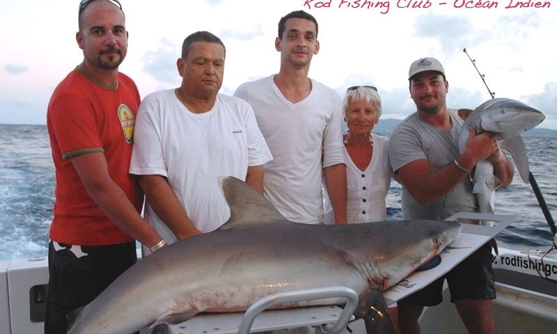 requin - Rod Fishing Club - Ile Rodrigues - Maurice - Océan Indien