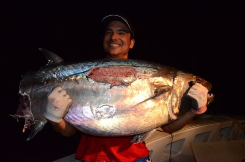 restes d'un doggy de plus de 50kg - Rod Fishing Club - Ile Rodrigues - Maurice - Océan Indien