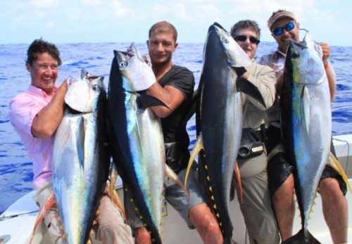 super brochette de thons jaunes - Rod Fishing Club - Ile Rodrigues - Maurice - Océan Indien