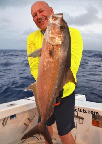 sériole en jigging - Rod Fishing Club - Ile Rodrigues - Maurice - Océan Indien